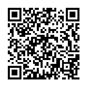 虽然将那寒冰巨人的掌心斩出了一道深邃的裂痕二维码生成