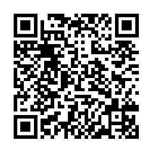 虽然巴克和李旭东的午餐不过是蹲在草丛中吃点干粮二维码生成