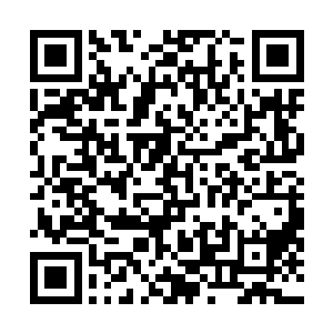 虽然布尼老板的儿子很大方的将布尼老板的店送给他们了二维码生成