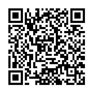 虽然帝国内各大家族之间也都有各种斗争和利益问题二维码生成
