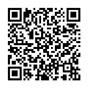 虽然帝国建国一千两百年间没有一刻停息过战争二维码生成