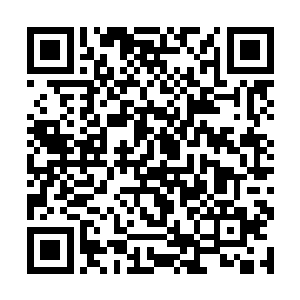 虽然平日里瑞王妃对她不会像别的命妇那样低眉顺眼二维码生成