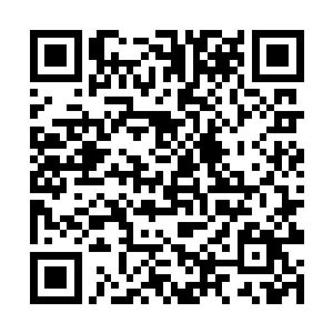 虽然平时两个人的相处模式基本都是他训话龙野听着二维码生成