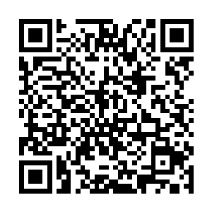 虽然广义上的独立董事是没有直接股份或者直接关系二维码生成