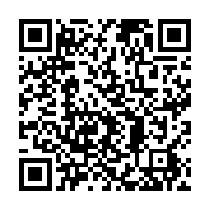 虽然张潇晗和木槿早就知道宋辰砂与诛仙弓祭炼到一体二维码生成