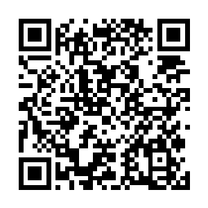 虽然张锋在精神病院这件事情上表现得不太令常雨泽满意二维码生成