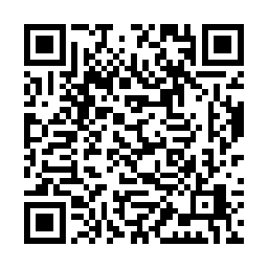 虽然当初苏凡不知道老者为什么要给自己带这个东西二维码生成