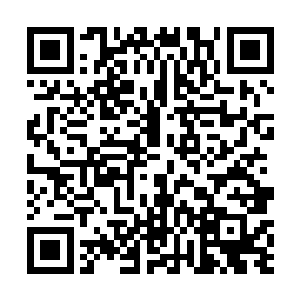 虽然很不满萧平安一直也跟着那几个侄儿叫着他小叔叔二维码生成