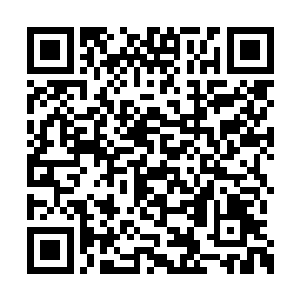 虽然徐尚秀的上围没法跟董雪那样的极品身材比二维码生成