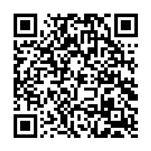 虽然心中对皇宫中药库的药种丰富早已有了心理准备二维码生成