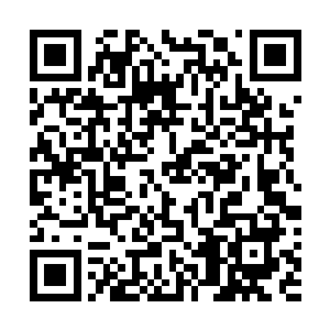 虽然心里已经放下了苏小爱……但他还是看君无妄不顺眼二维码生成