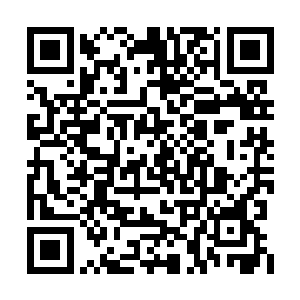 虽然我之前所继承的神国迷失幻域已经燃烧殆尽二维码生成