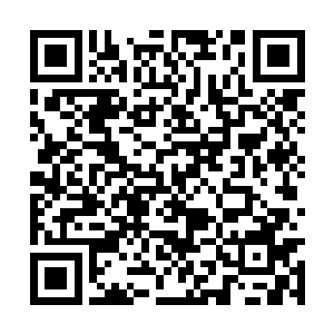 虽然我也不知道监狱里的具体组织架构和管理模式二维码生成