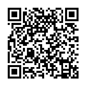虽然我也不能确定春哥儿能不能恢复到以前的样子二维码生成