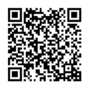 虽然我从一个正常的帅哥变成了一个刀疤脸的瘸子二维码生成