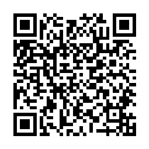 虽然我们不知道你做了什么卑鄙的事情将白起大哥制服二维码生成