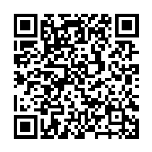 虽然我们现在所处的区域仙界气息比其他区域要浓密二维码生成