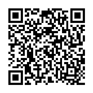 虽然我们知道这颗吞噬之心的价值可以说是宝库当中的第一二维码生成