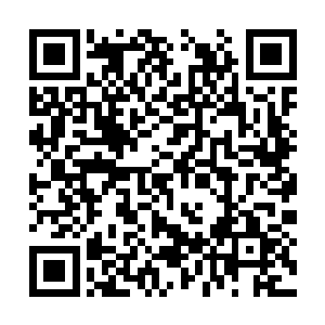 虽然我刚才已经跟她解释了我和雅文互换身体的事二维码生成