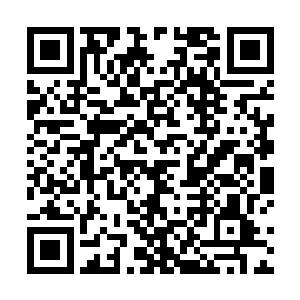 虽然我认为华夏功夫是我所学中最垃圾的一种格斗方式二维码生成