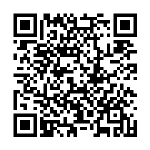 虽然所有人都知道他是用能源液硬生生提升上来的二维码生成