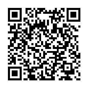 虽然手持妖刀村正也可以跟秦方打一个不相上下二维码生成