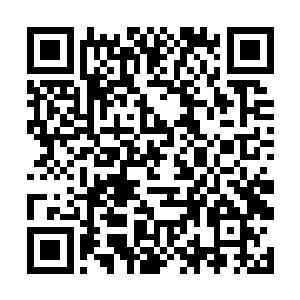 虽然播放的片段中那个自称是上帝的人显得异常荒诞二维码生成