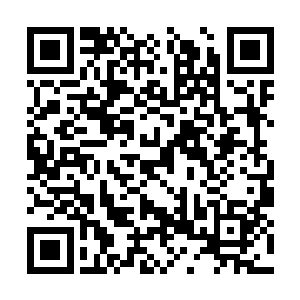 虽然整个图书馆都在她的掌控之内……但有些地方二维码生成