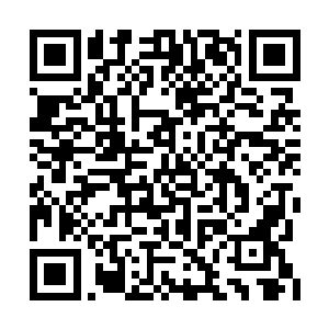 虽然整个银河星域知道探索葬神之地的修士不多二维码生成