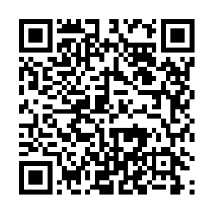 虽然无论口味还是香气等都还不如他前生吃过的好大米二维码生成