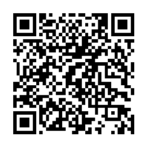 虽然早已经做好了十年二十年玄天华都不会醒来的心理准备二维码生成