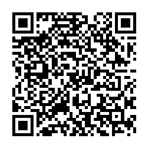 虽然早有些猜测但是真的听到王爷这么说的时候他们还是有些惊讶二维码生成