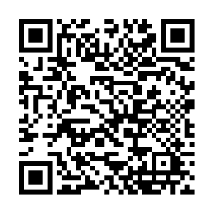 虽然明面上道门诸多势力强者都不太方便向截教发难二维码生成