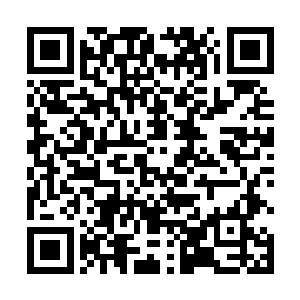 虽然有一些年迈的巫师对这根藤蔓的危险性提出了警告二维码生成