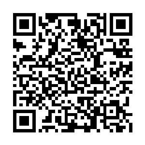 虽然有不少人难免露出慌乱和对生命不舍的神色二维码生成