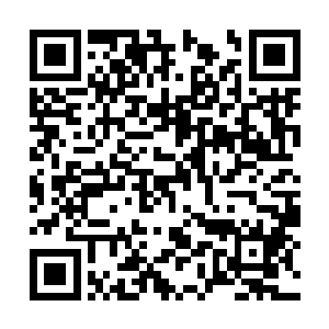 虽然有大帝之力和神游镜镜魂的天地伟力双重保险二维码生成