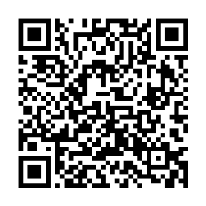 虽然有部分女主子可能是不稀罕嘉靖帝那根小黄瓜二维码生成