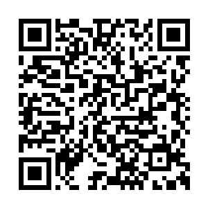 虽然朱平安从自己牢房里给杨老抱去了很多干草二维码生成