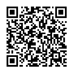 虽然李玄机说过四海龙王在六十六岁寿辰之前不会碰王如梦二维码生成