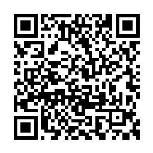 虽然杨开那小子时常跑到蛮荒古地去让他们难做二维码生成