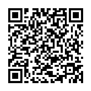 虽然栾白凤一直强调黑域深处的禁制大阵威能巨大二维码生成