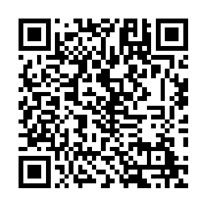 虽然楚旬等人对于这些宝物的来历和用处都并不是太了解二维码生成