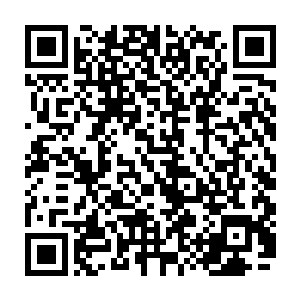 虽然欧勇对于林烽突然出现打破了自己在王雅君面前完美形象一直耿耿于怀二维码生成
