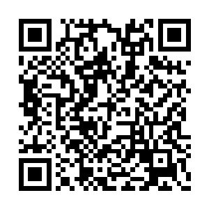 虽然此刻男子手中的砍刀已经在苏凡的头顶之上二维码生成