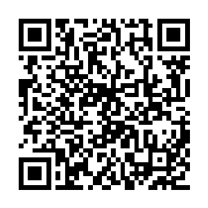 虽然此时在意识海里面还有一个强大的意志盘踞二维码生成
