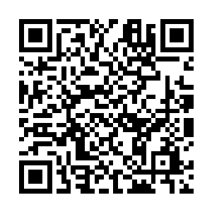 虽然此时这二十多个巨人的身上散发着分神后期的威能二维码生成