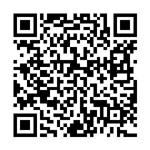虽然每一个演员对于演技教学领悟的程度和方式都有区别二维码生成