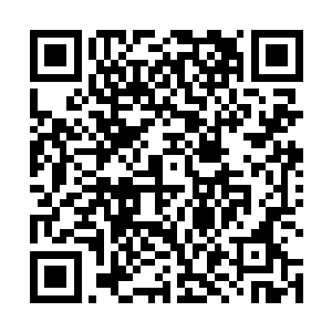 虽然每一次看到拒绝的话都是让自己的信心进一步下沉二维码生成