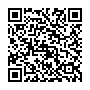 虽然每个人鼻青脸肿的样子看起来实在没有什么说服力二维码生成