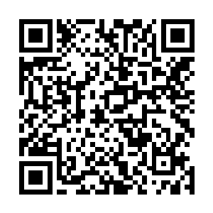 虽然沈飞和卢向东最后都离市委书记秘书这个职位渐行渐远二维码生成
